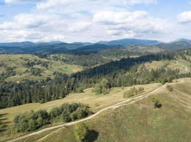 Yazın Ukrayna Karpatları 'nın yeşil dağları. Yamaçlarda kozalaklı ağaçlar. Hava aracı görünümü.
