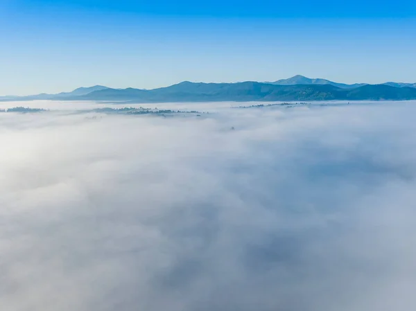 Vuelo Sobre Niebla Los Cárpatos Ucranianos Verano Montañas Horizonte Una —  Fotos de Stock