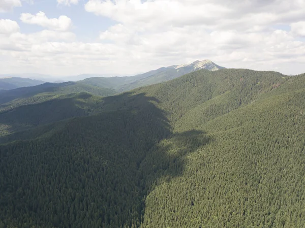 Grüne Berge Der Ukrainischen Karpaten Sommer Sonniger Tag Seltene Wolken — Stockfoto