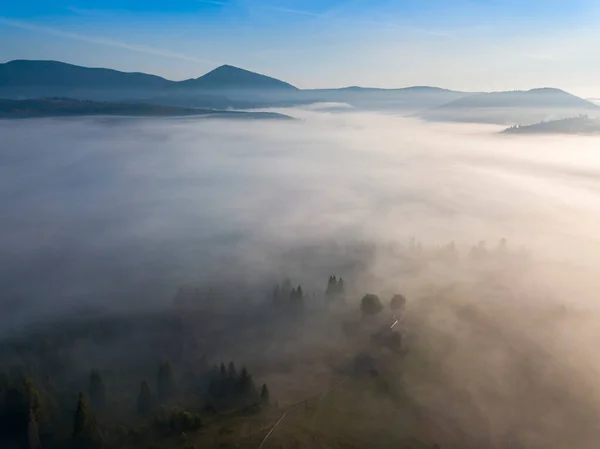 Brouillard Matinal Dans Les Carpates Ukrainiennes Vue Aérienne Drone — Photo