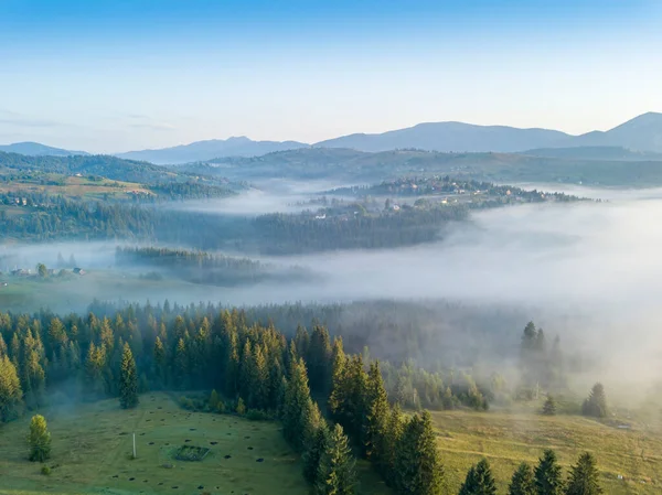 Morgennebel Den Ukrainischen Karpaten Drohnenblick Aus Der Luft Stockbild
