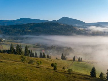 Ukrayna Karpatya dağlarında sabah sisi. Hava aracı görünümü.