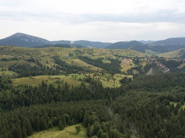 Yazın Ukrayna Karpatları 'nın yeşil dağları. Hava aracı görünümü.