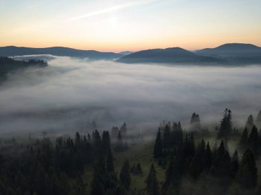 Ukrayna Karpatları 'nda sabah sisi. Hava aracı görünümü.