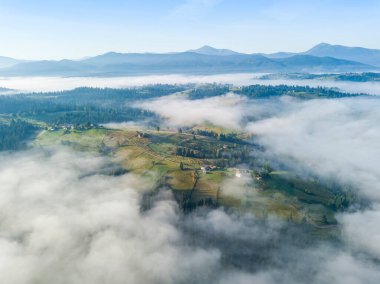 Ukrayna Karpatya dağlarında sabah sisi. Hava aracı görünümü.