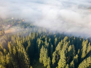 Ukrayna Karpatya dağlarında sabah sisi. Hava aracı görünümü.