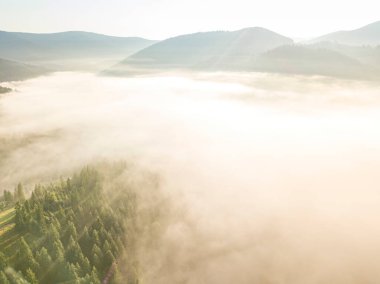 Sis dağ ormanını kaplıyor. Güneşin yükselen ışınları sisi delip geçer. Hava aracı görünümü.