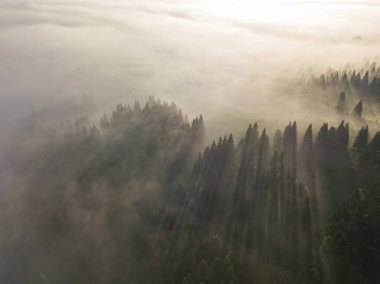 Sabah güneşinin ışınları dağlardaki sislerin arasından. Hava aracı görünümü.