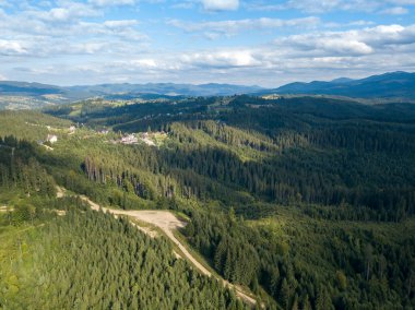 Yazın Ukrayna Karpatları 'nın yeşil dağları. Yamaçlarda kozalaklı ağaçlar. Hava aracı görünümü.