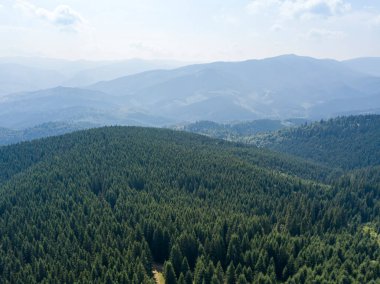 Yazın Ukrayna Karpatları 'nın yeşil dağları. Güneşli bir gün, nadir bulutlar. Hava aracı görünümü.