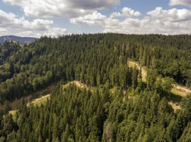 Yazın Ukrayna Karpatları 'nın yeşil dağları. Güneşli bir gün, nadir bulutlar. Hava aracı görünümü.