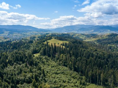 Yazın Ukrayna Karpatları 'nın yeşil dağları. Yamaçlarda kozalaklı ağaçlar. Hava aracı görünümü.