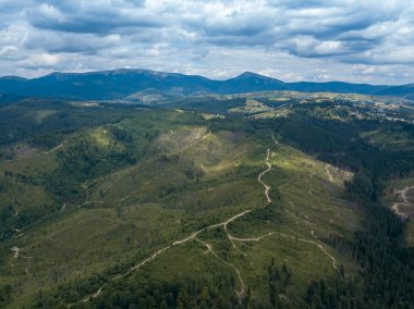 Yazın Ukrayna Karpatları 'nın yeşil dağları. Yamaçlarda kozalaklı ağaçlar. Hava aracı görünümü.