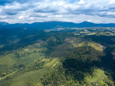 Yazın Ukrayna Karpatları 'nın yeşil dağları. Yamaçlarda kozalaklı ağaçlar. Hava aracı görünümü.