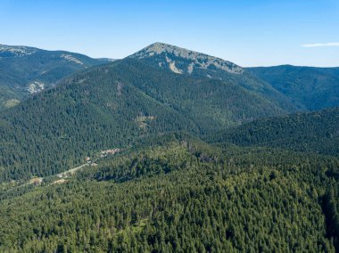 Yazın Ukrayna Karpatları 'nın yeşil dağları. Güneşli açık bir gün. Hava aracı görünümü.