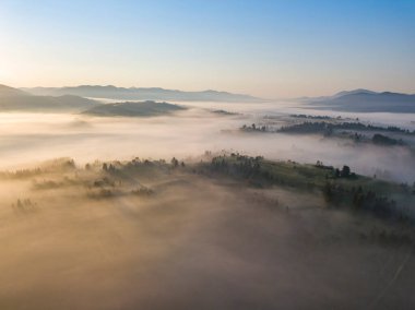 Ukrayna Karpatları 'nda sabah sisi. Hava aracı görünümü.