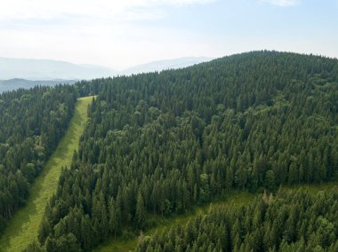 Yazın Ukrayna Karpatları 'nın yeşil dağları. Güneşli bir gün, nadir bulutlar. Hava aracı görünümü.