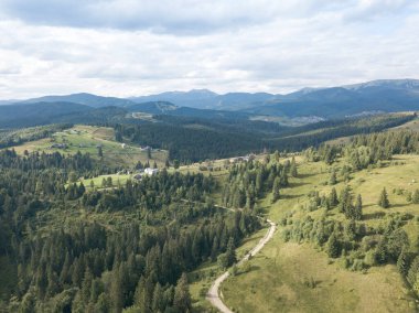 Yazın Ukrayna Karpatları 'nın yeşil dağları. Yamaçlarda kozalaklı ağaçlar. Hava aracı görünümü.