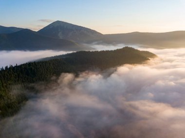 Ukrayna Karpatları 'nda sabah sisi. Hava aracı görünümü.