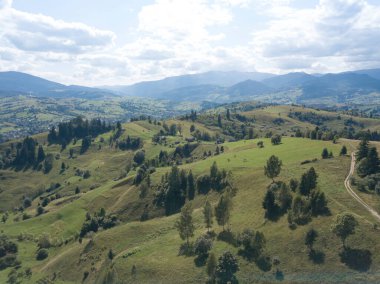 Yazın Ukrayna Karpatları 'nın yeşil dağları. Yamaçlarda kozalaklı ağaçlar. Hava aracı görünümü.