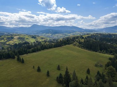Yazın Ukrayna Karpatları 'nın yeşil dağları. Yamaçlarda kozalaklı ağaçlar. Hava aracı görünümü.