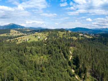 Yazın Ukrayna Karpatları 'nın yeşil dağları. Yamaçlarda kozalaklı ağaçlar. Hava aracı görünümü.