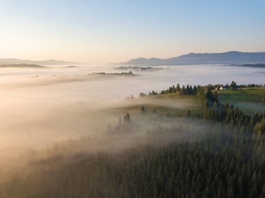 Ukrayna Karpatları 'nda sabah sisi. Hava aracı görünümü.