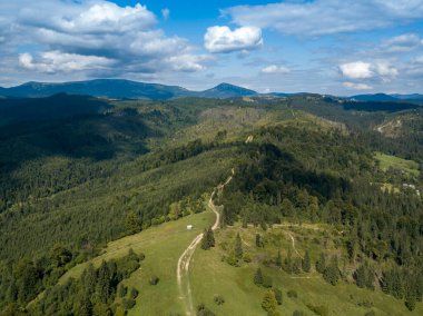 Yazın Ukrayna Karpatları 'nın yeşil dağları. Yamaçlarda kozalaklı ağaçlar. Hava aracı görünümü.