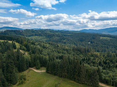 Yazın Ukrayna Karpatları 'nın yeşil dağları. Yamaçlarda kozalaklı ağaçlar. Hava aracı görünümü.