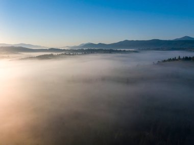Ukrayna Karpatları 'nda sabah sisi. Hava aracı görünümü.