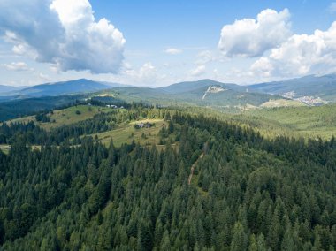 Yazın Ukrayna Karpatları 'nın yeşil dağları. Güneşli bir gün. Hava aracı görünümü.