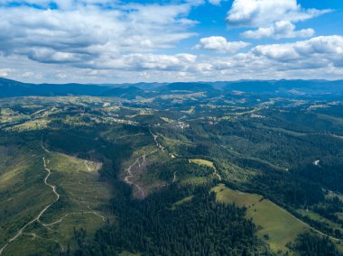 Yazın Ukrayna Karpatları 'nın yeşil dağları. Yamaçlarda kozalaklı ağaçlar. Hava aracı görünümü.