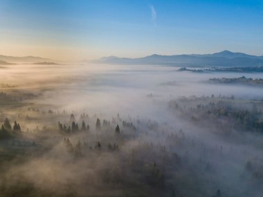 Ukrayna Karpatları 'nda sabah sisi. Hava aracı görünümü.