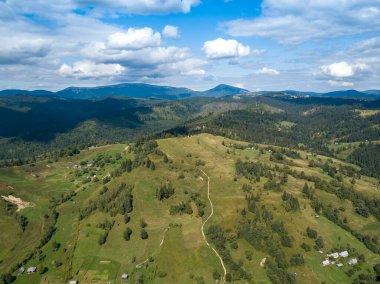 Yazın Ukrayna Karpatları 'nın yeşil dağları. Yamaçlarda kozalaklı ağaçlar. Hava aracı görünümü.