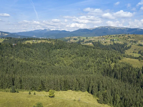 Grüne Berge Der Ukrainischen Karpaten Sommer Sonniger Tag Seltene Wolken — Stockfoto