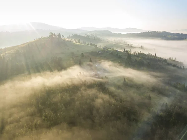 Niebla Mañana Las Montañas Los Cárpatos Ucrania Vista Aérea Del — Foto de Stock