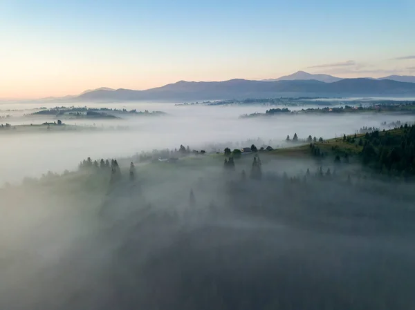 Brouillard Matinal Dans Les Carpates Ukrainiennes Vue Aérienne Drone — Photo