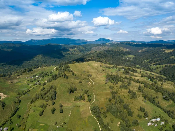 Grüne Berge Der Ukrainischen Karpaten Sommer Nadelbäume Den Hängen Drohnenblick — Stockfoto