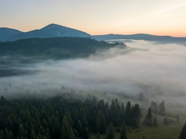 Зеленые Горы Украинских Карпат Утреннем Тумане Воздушный Беспилотник — стоковое фото