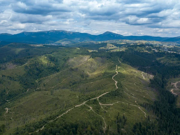 Grüne Berge Der Ukrainischen Karpaten Sommer Nadelbäume Den Hängen Drohnenblick — Stockfoto