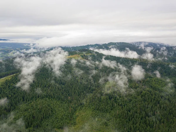 Grüne Hänge Der Ukrainischen Karpaten Sommer Bewölkter Morgen Tiefe Wolken — Stockfoto