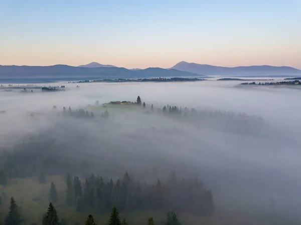 Amanecer Sobre Niebla Los Cárpatos Ucranianos Vista Aérea Del Dron — Foto de Stock