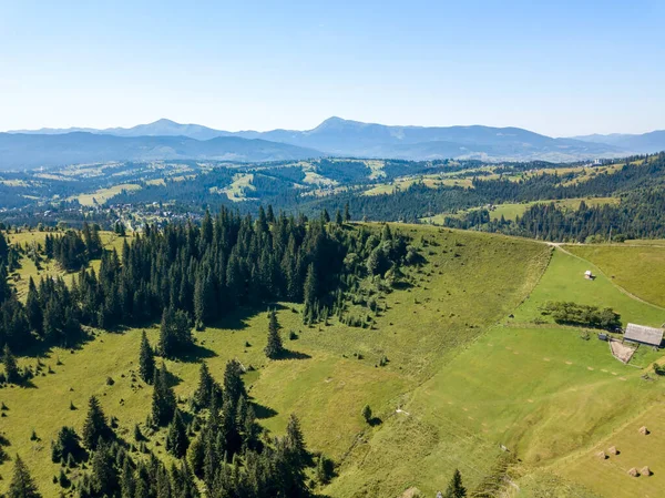 Zielone Góry Karpat Ukraińskich Lecie Słoneczny Czysty Dzień Widok Drona — Zdjęcie stockowe