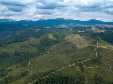 Yazın Ukrayna Karpatları 'nın yeşil dağları. Yamaçlarda kozalaklı ağaçlar. Hava aracı görünümü.
