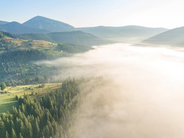 Sis dağ ormanını kaplıyor. Güneşin yükselen ışınları sisi delip geçer. Hava aracı görünümü.