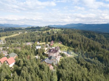 Yazın Ukrayna Karpatları 'nın yeşil dağları. Yamaçlarda kozalaklı ağaçlar. Hava aracı görünümü.