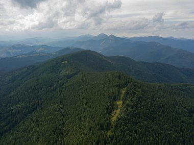 Yazın Ukrayna Karpatları 'nın yeşil dağları. Hava aracı görünümü.
