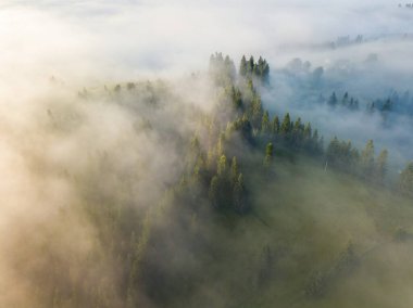 Ukrayna Karpatları 'nda sisli bir yaz sabahı. Hava aracı görünümü.