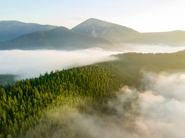 Sis dağ ormanını kaplıyor. Güneşin yükselen ışınları sisi delip geçer. Hava aracı görünümü.