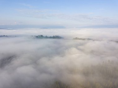 Ukrayna Karpatları 'nda sabah sisi. Hava aracı görünümü.